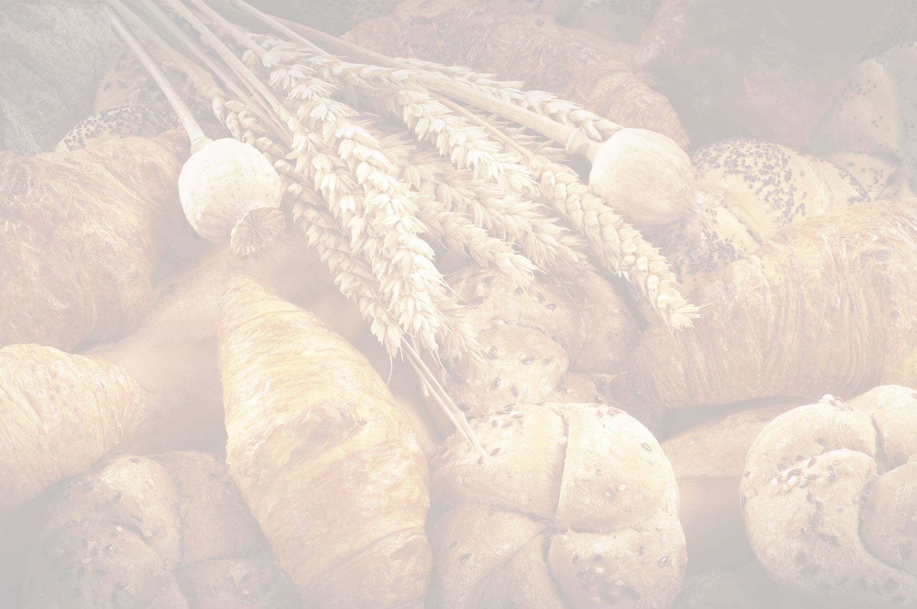 Forn de Pà Padró, panaderías y pastelerías en Barcelona